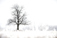 IMG_0997-3